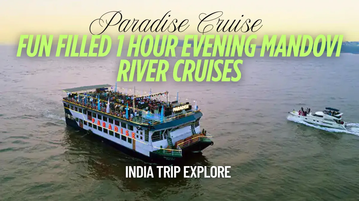 Fun Filled 1 Hour Evening Mandovi River Cruise