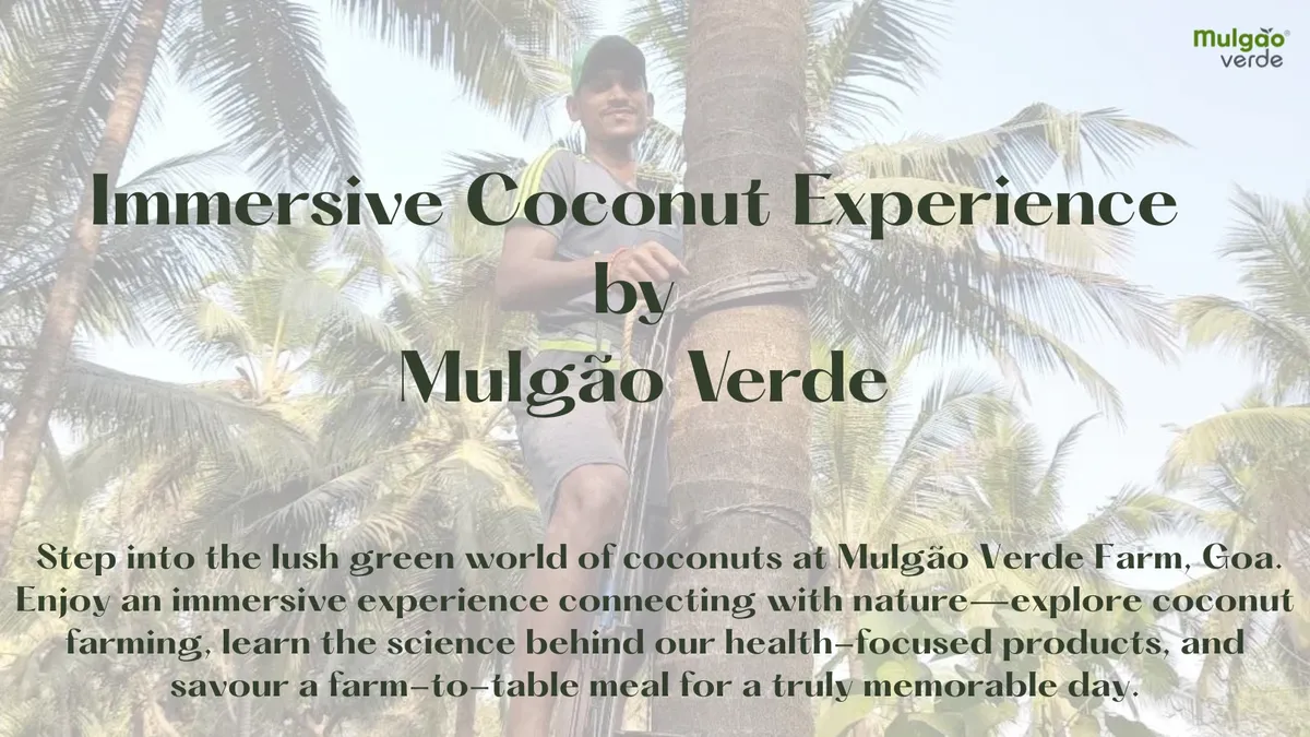 Immersive Coconut Experience by Mulgao Verde