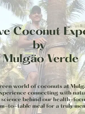 Immersive Coconut Experience by Mulgao Verde poster