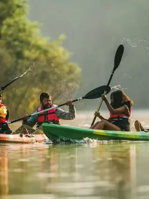 Kayaking in Goa's Backwaters poster