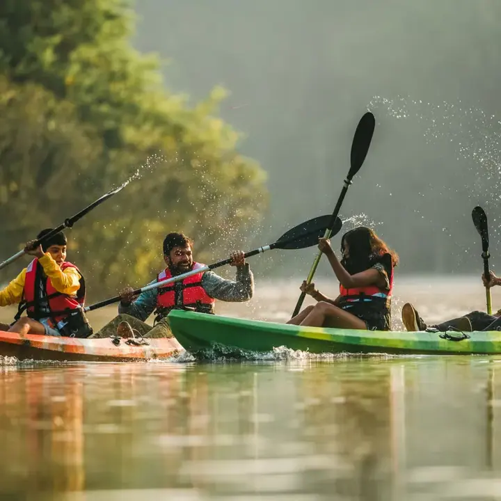 Kayaking in Goa's Backwaters poster