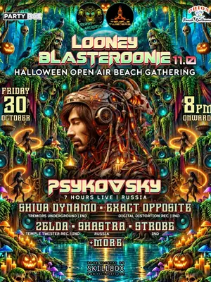 Looney Blasteroonie 11.0 poster