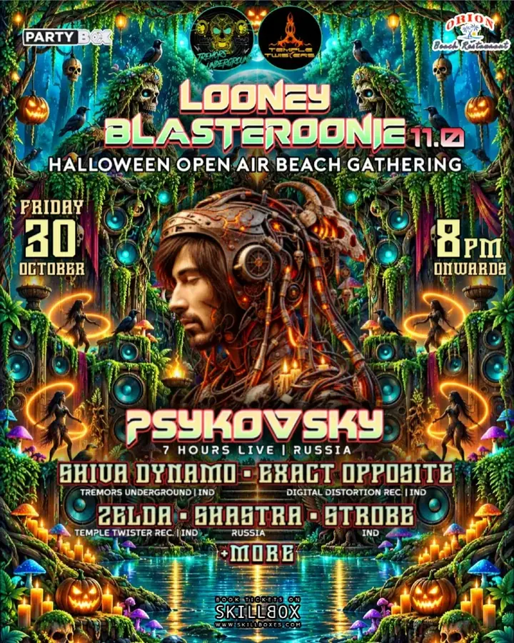 Looney Blasteroonie 11.0 poster
